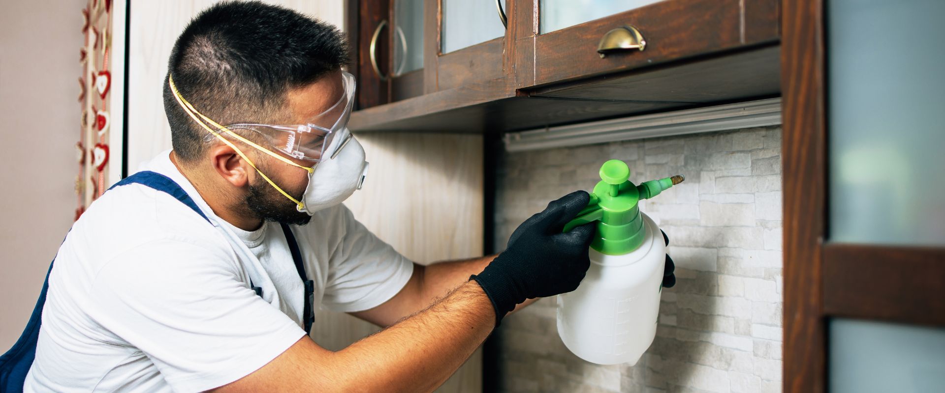 Top 5 Common Household Pests and How to Get Rid of Them Top 5 Common Household Pests and How to Get Rid of Them