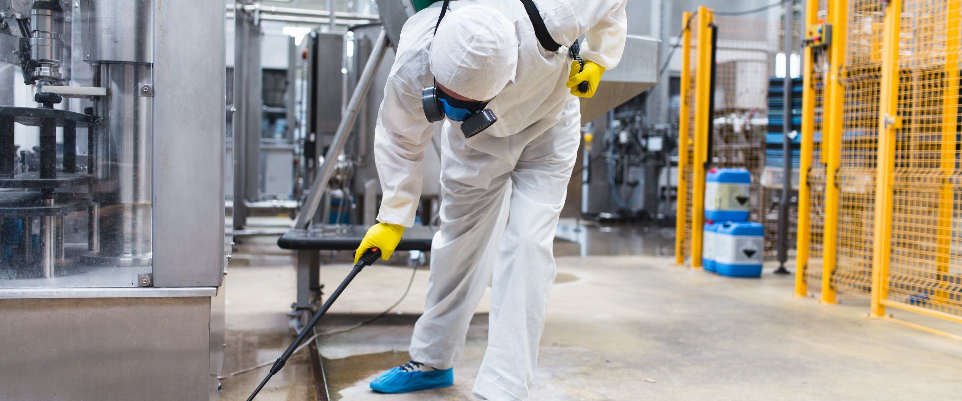 Why Professional Pest Control is Worth the Investment Why Professional Pest Control is Worth the Investment