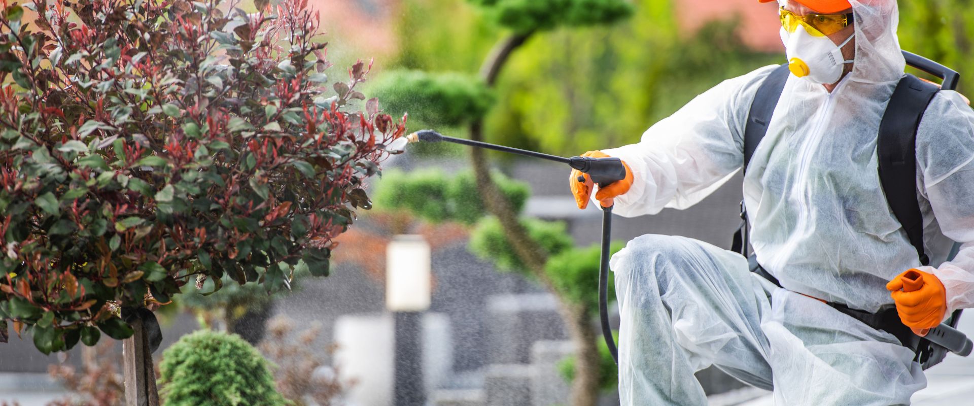 Natural Pest Control: Eco-Friendly Ways to Keep Your Home Pest-Free Natural Pest Control: Eco-Friendly Ways to Keep Your Home Pest-Free